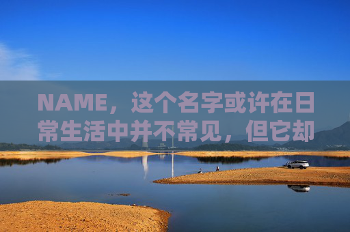 NAME,这个名字或许在日常生活中并不常见,但它却在某些领域里扮演着重要的角色。今天,让我们一起来探索这个名字背后的故事和意义